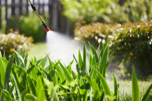 24/7 Emergency Fumigation Services experts in Snyder, OK