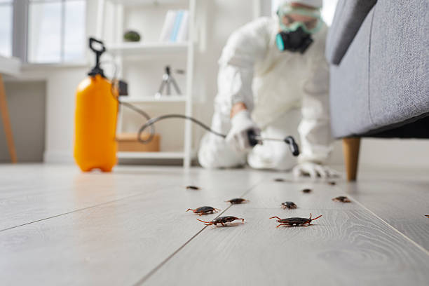 Trusted Fumigation Services service in Snyder, OK - Nex Pest Control