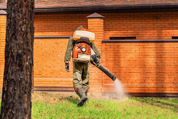 Trusted Termite Control service in Snyder, OK - Nex Pest Control